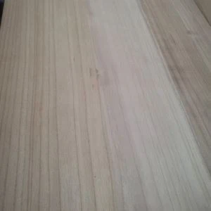 পলাউনিয়া বোর্ড