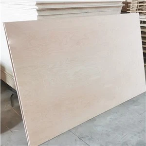 বার্চ ব্যহ্যাবরণ পাতলা পাতলা কাঠ